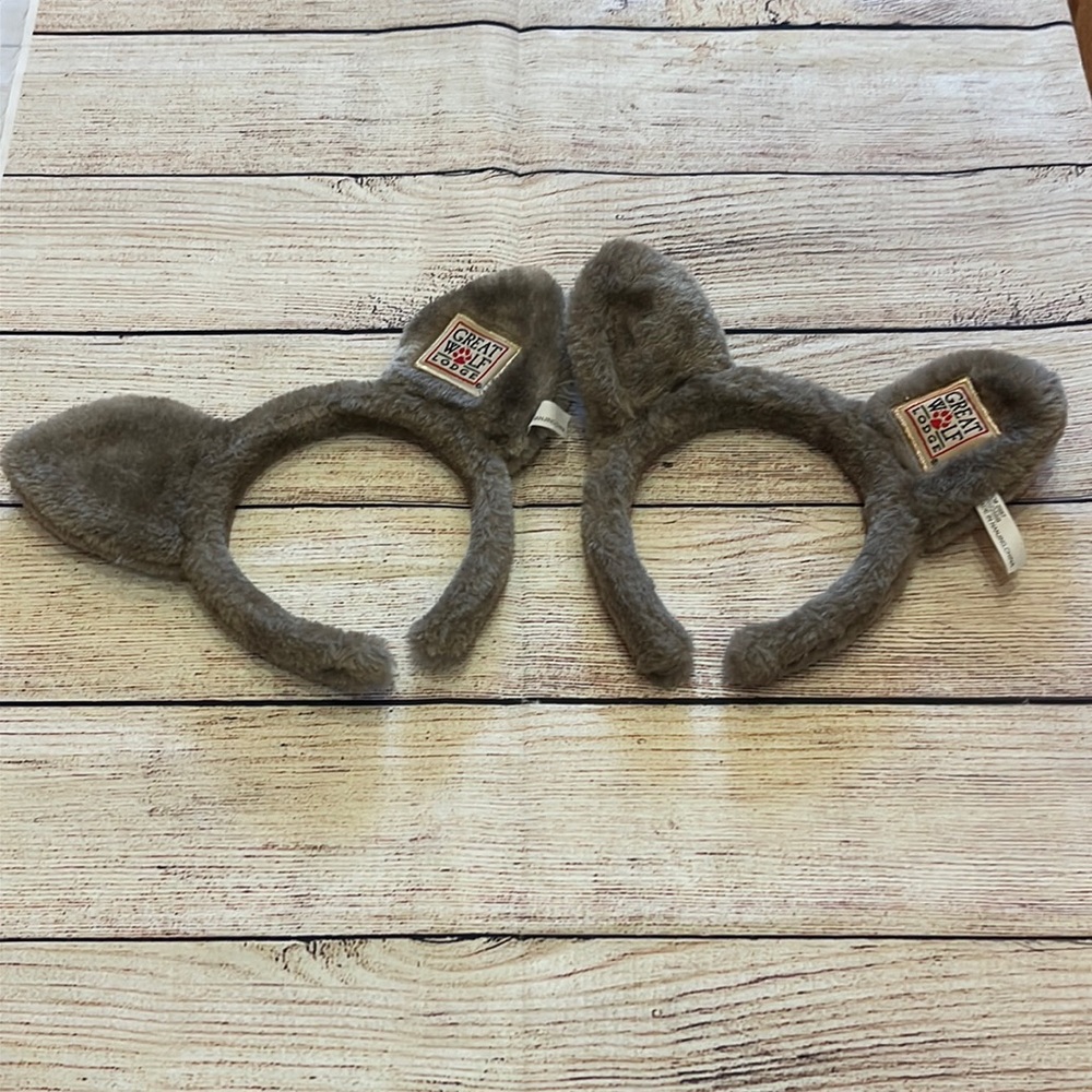 Great Wolf Lodge Ears